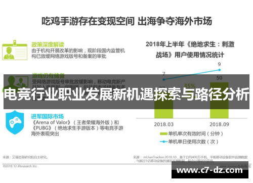 电竞行业职业发展新机遇探索与路径分析