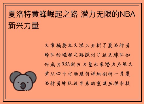 夏洛特黄蜂崛起之路 潜力无限的NBA新兴力量