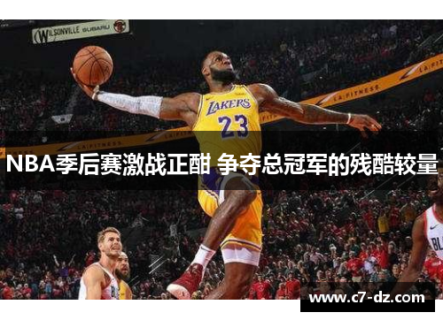 NBA季后赛激战正酣 争夺总冠军的残酷较量